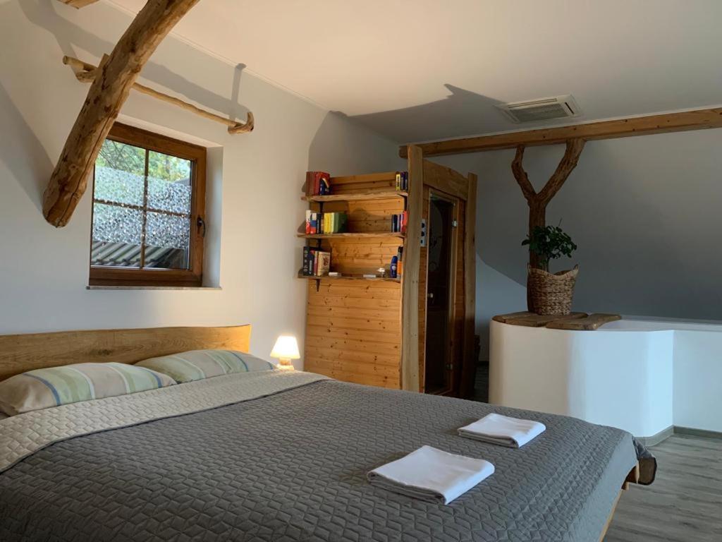Zerko - Vineyard With Sauna And Jacuzzi Free Mirna