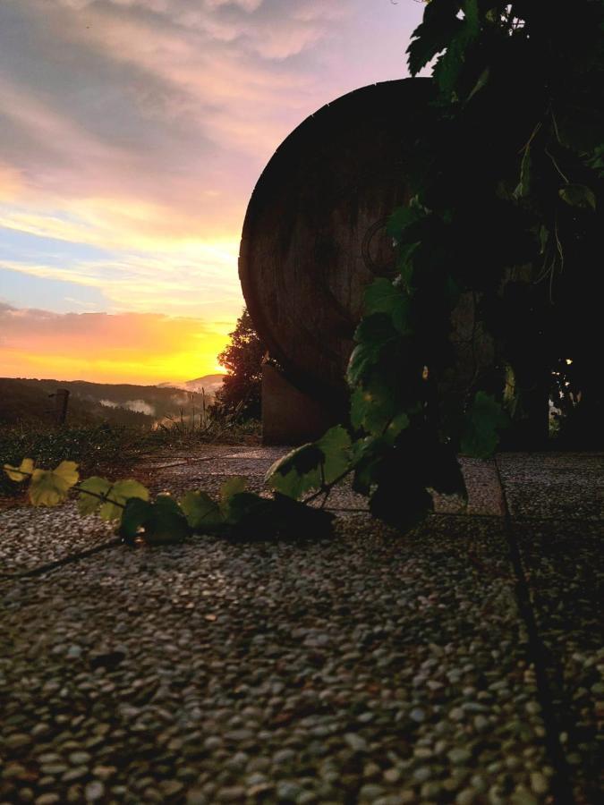 Zerko - Vineyard With Sauna And Jacuzzi Free * Mirna