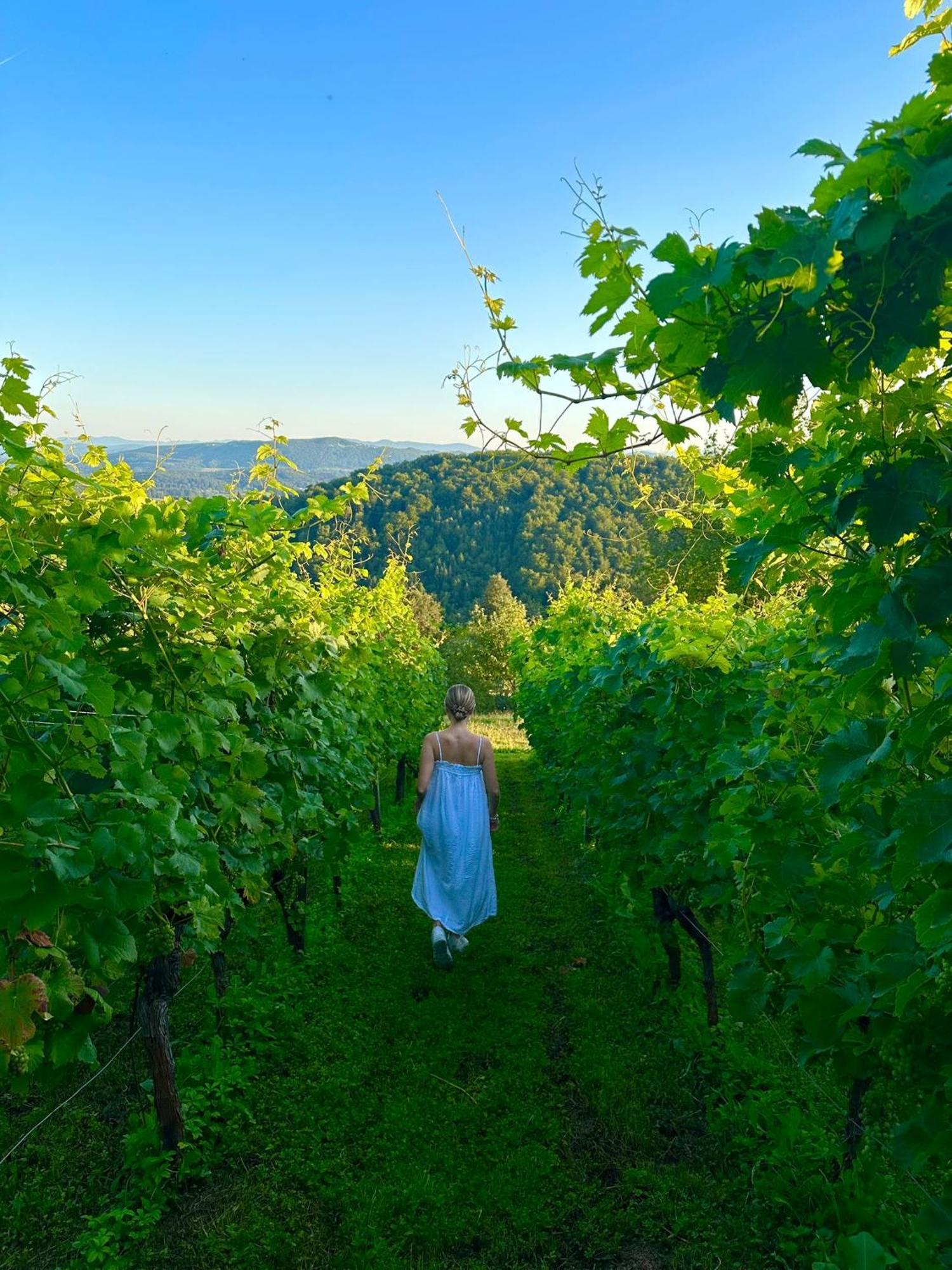 Zerko - Vineyard With Sauna And Jacuzzi Free *