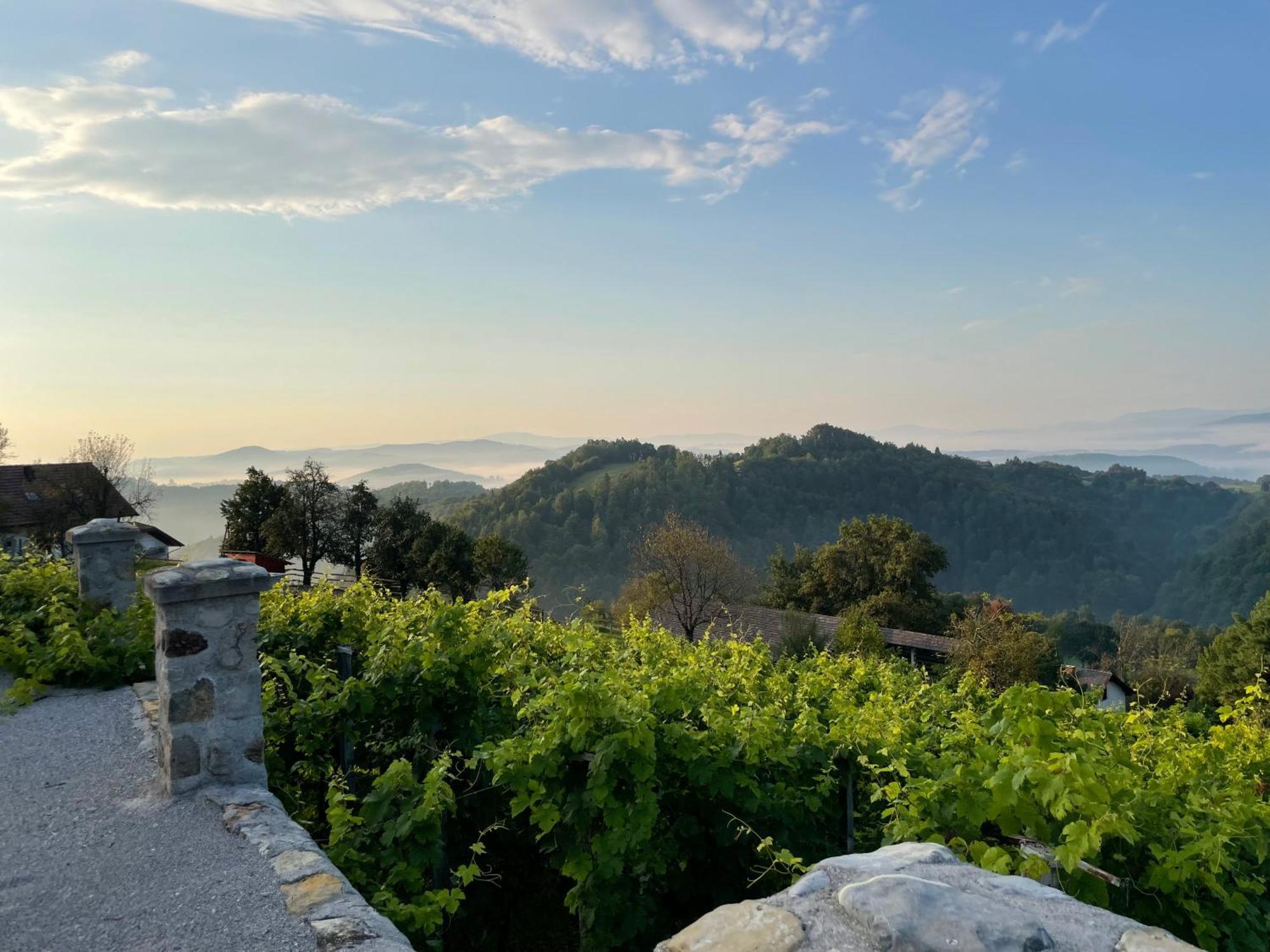 Zerko - Vineyard With Sauna And Jacuzzi Free * Mirna