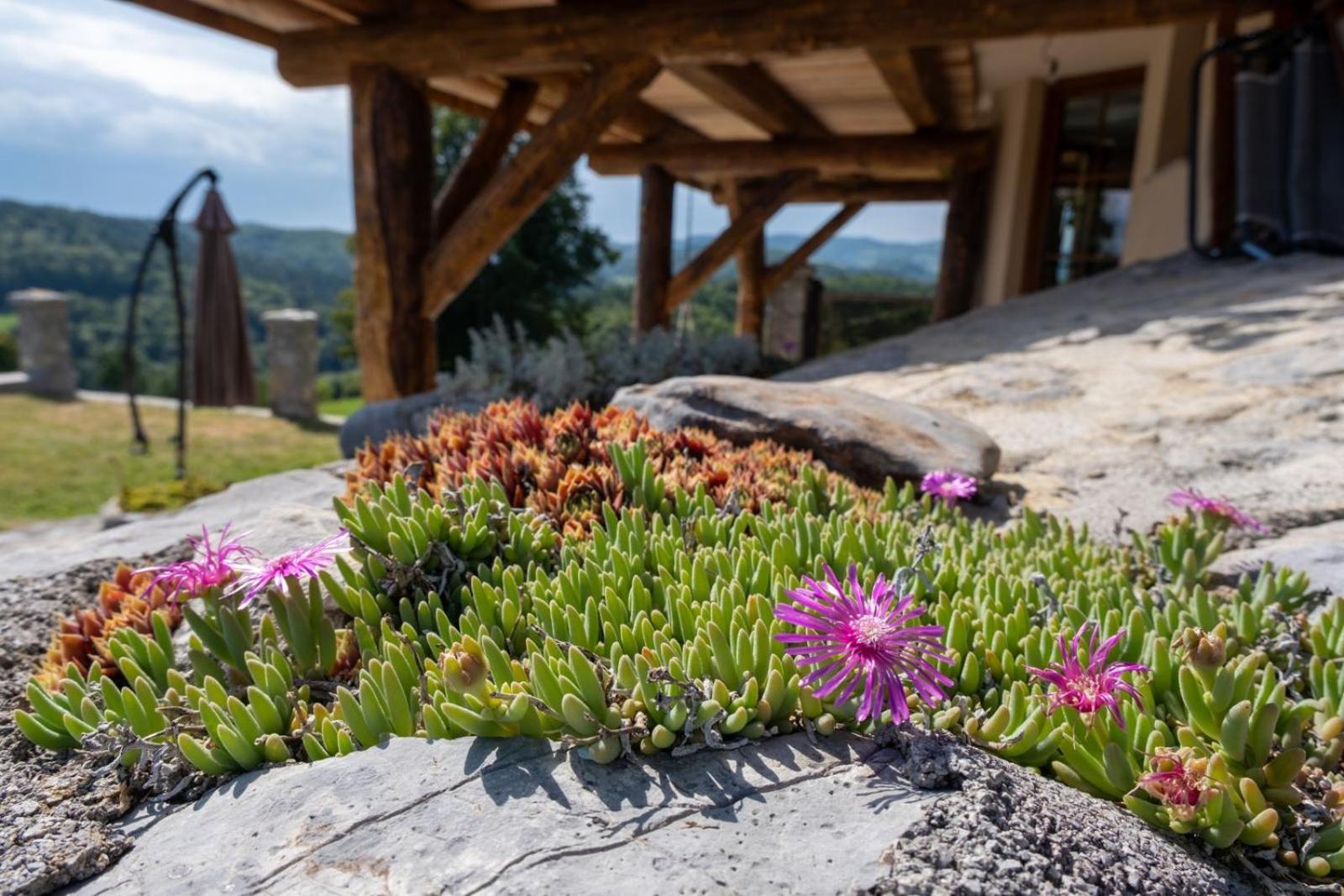 Zerko - Vineyard With Sauna And Jacuzzi Free