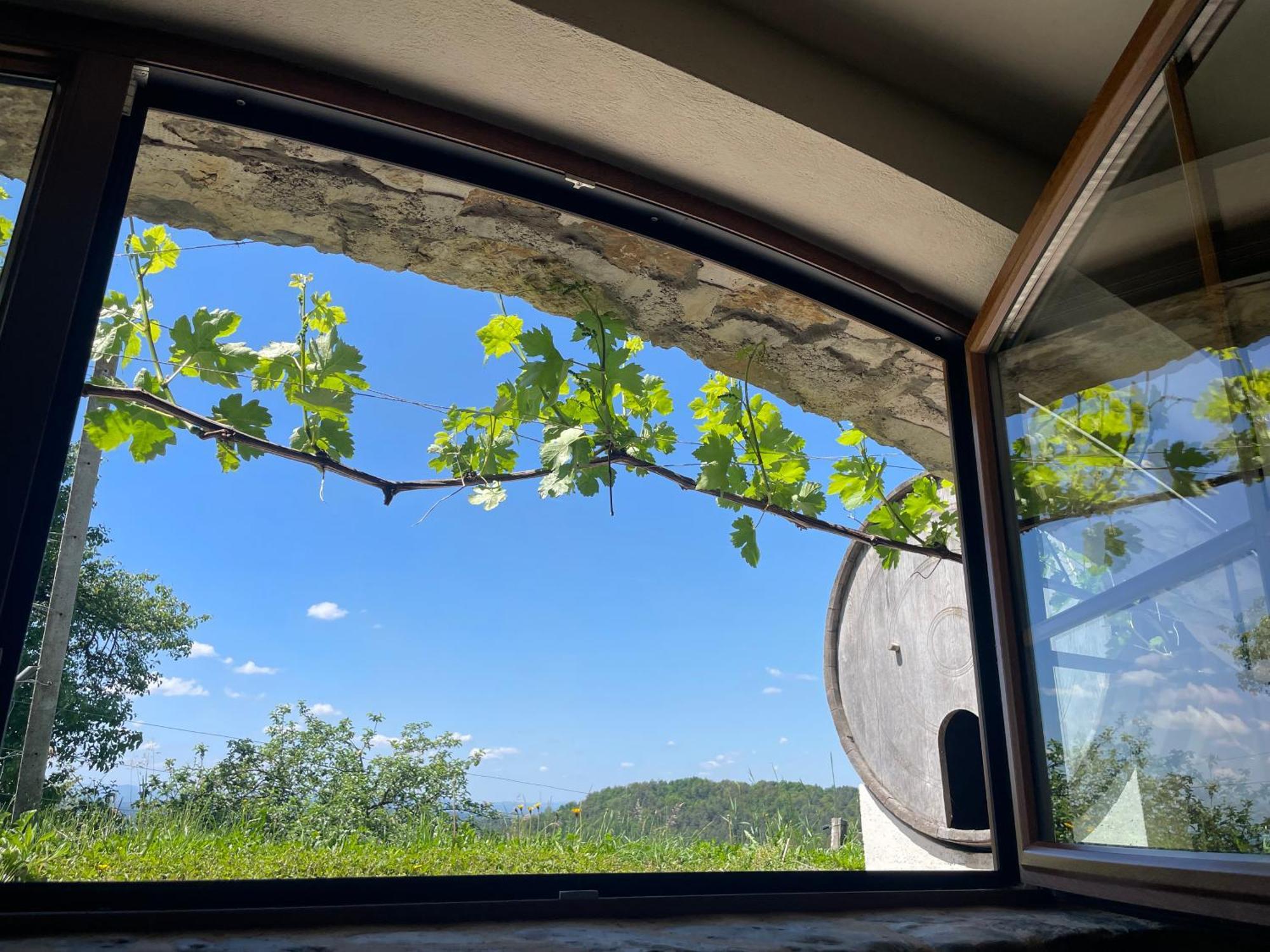 Zerko - Vineyard With Sauna And Jacuzzi Free Počitniška hiša *