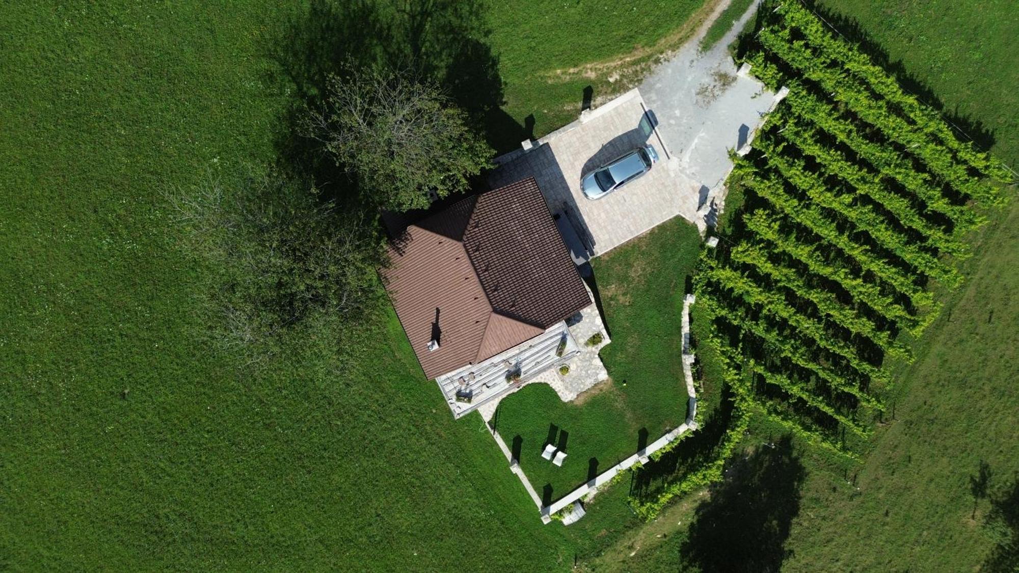 Počitniška hiša Zerko - Vineyard With Sauna And Jacuzzi Free *