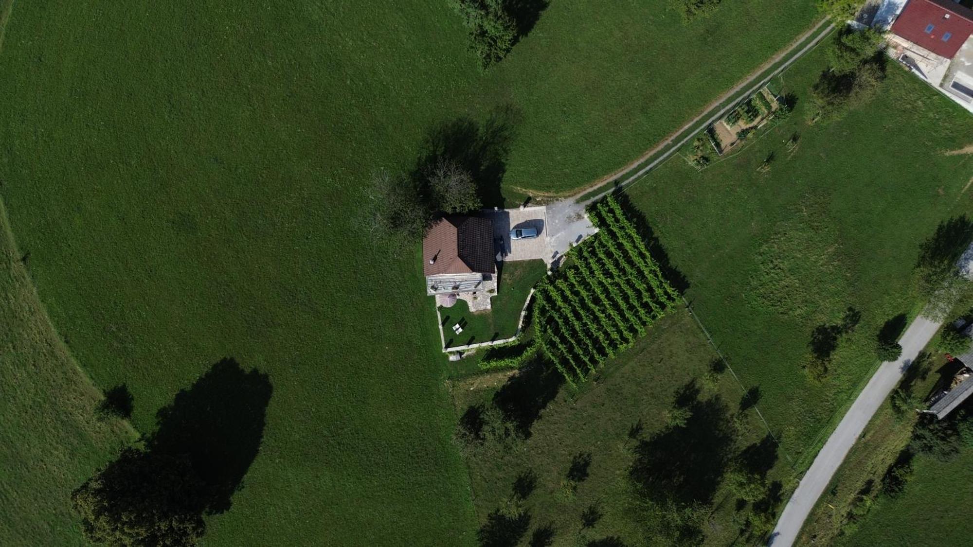 Zerko - Vineyard With Sauna And Jacuzzi Free Mirna